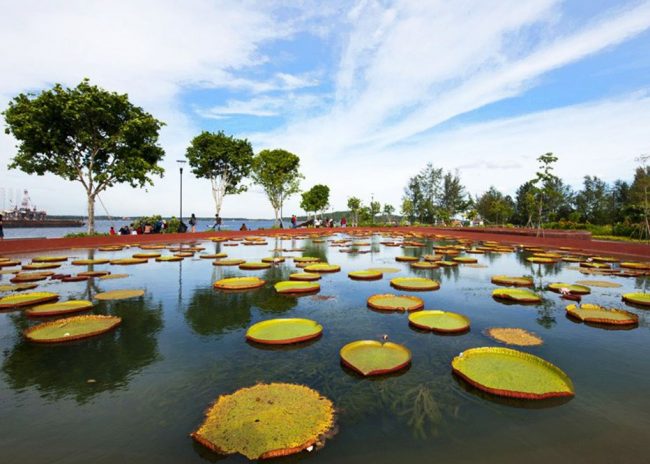 Punggol20Pond20Filtration20System2001