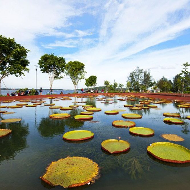 Punggol20Pond20Filtration20System2001