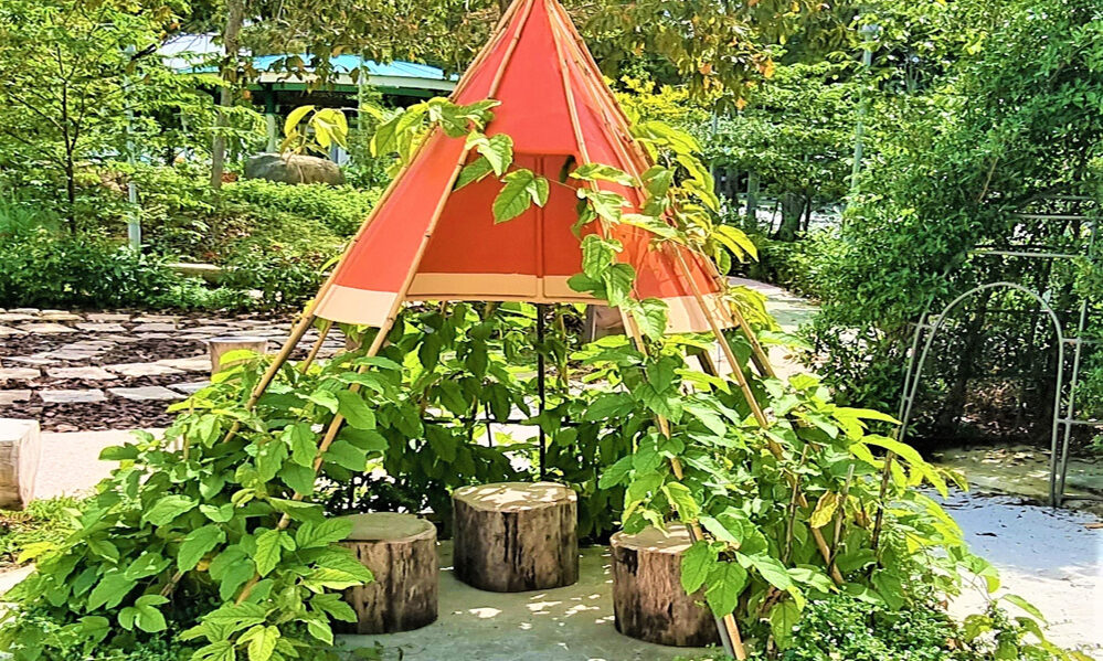 Marina Bay Sands Integrated Resorts: Hotel Atrium Pond / Sky Park Water ...
